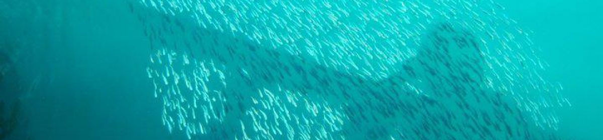 daniel heinze, leipzig.