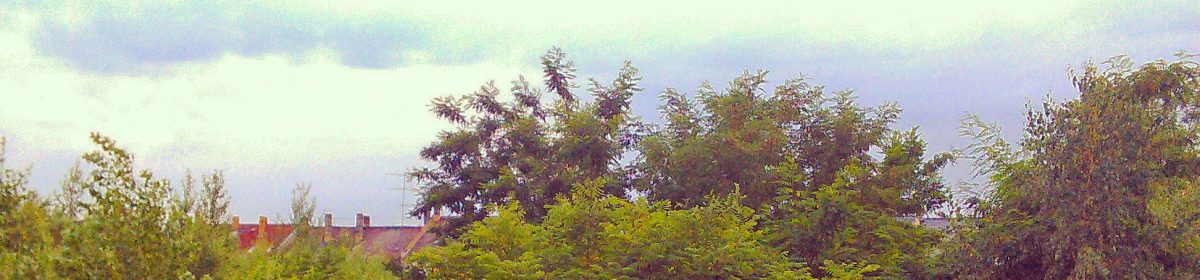 daniel heinze, leipzig.