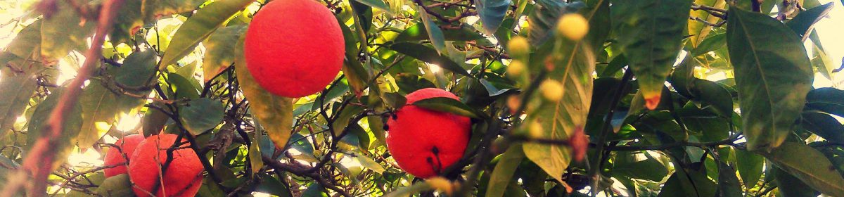 daniel heinze, leipzig.