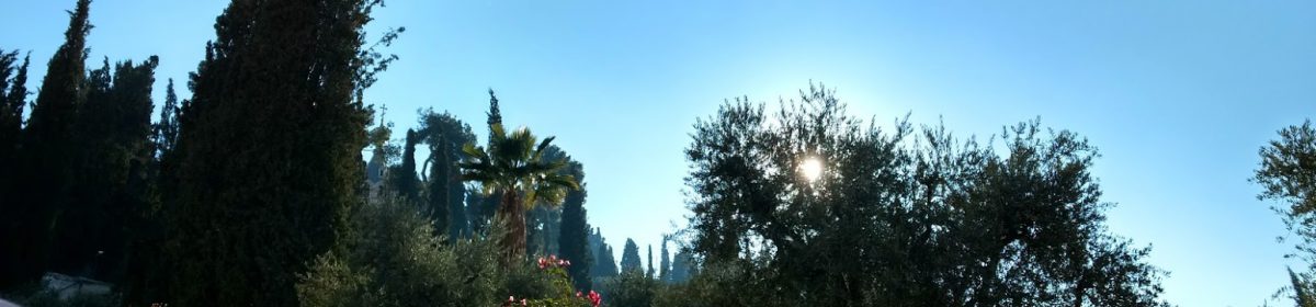 daniel heinze, leipzig.