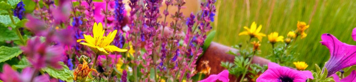 daniel heinze, leipzig.