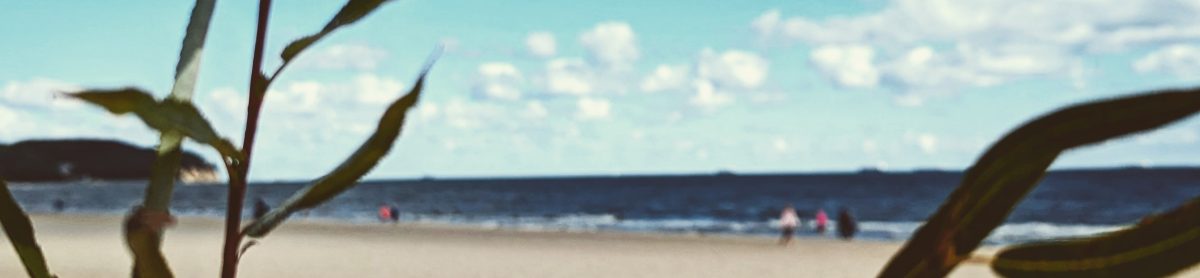 daniel heinze, leipzig.