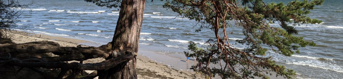 daniel heinze, leipzig.