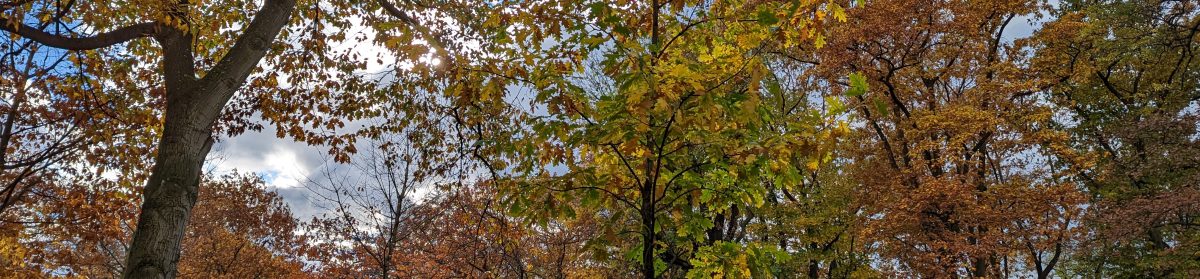 daniel heinze, leipzig.