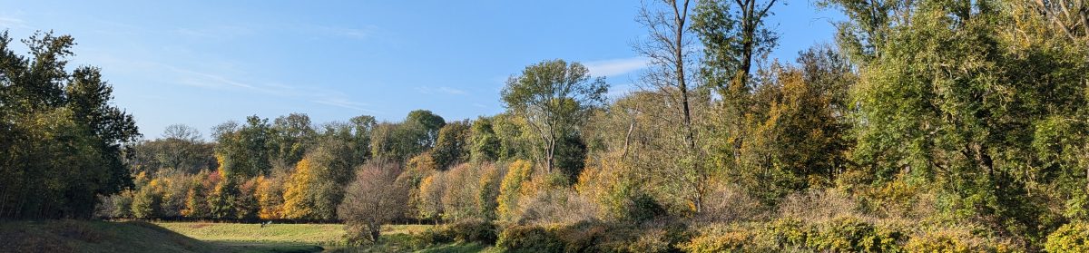 daniel heinze, leipzig.