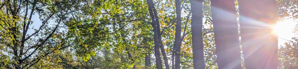 daniel heinze, leipzig.