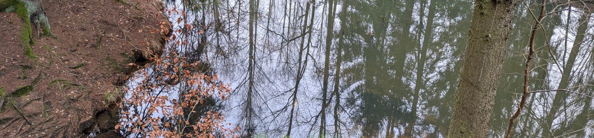 daniel heinze, leipzig.